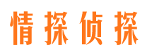 色达侦探公司